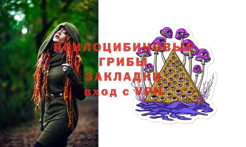 Галлюциногенные грибы Magic Shrooms  сколько стоит  Питкяранта 